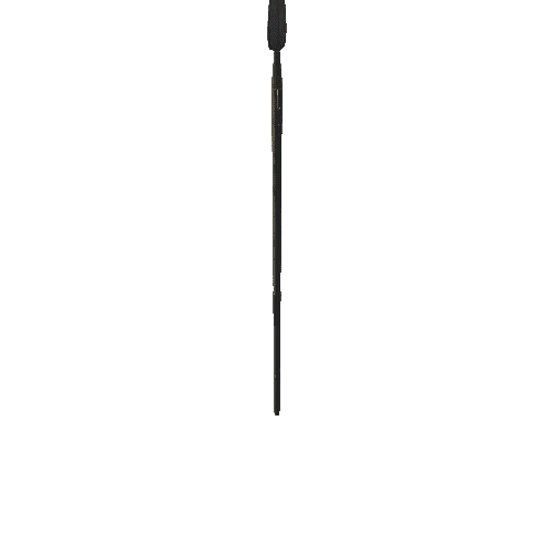 12 Century Spear